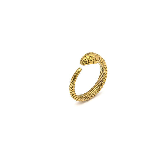 DD15074S - Anello - Vestopazzo