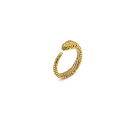 DD15074S - Anello - Vestopazzo
